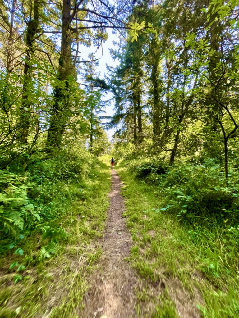 Runner on lush green forest singletrack trail